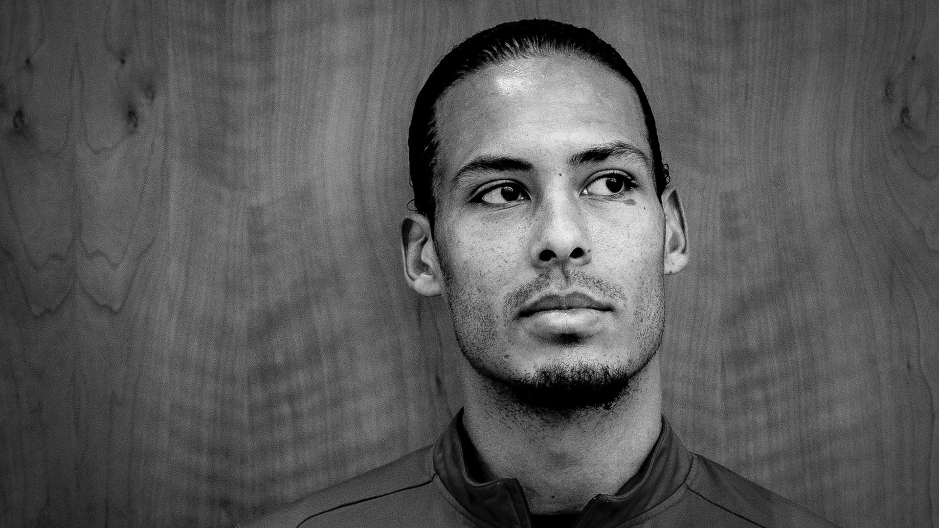 这些烟花不 这些烟花不