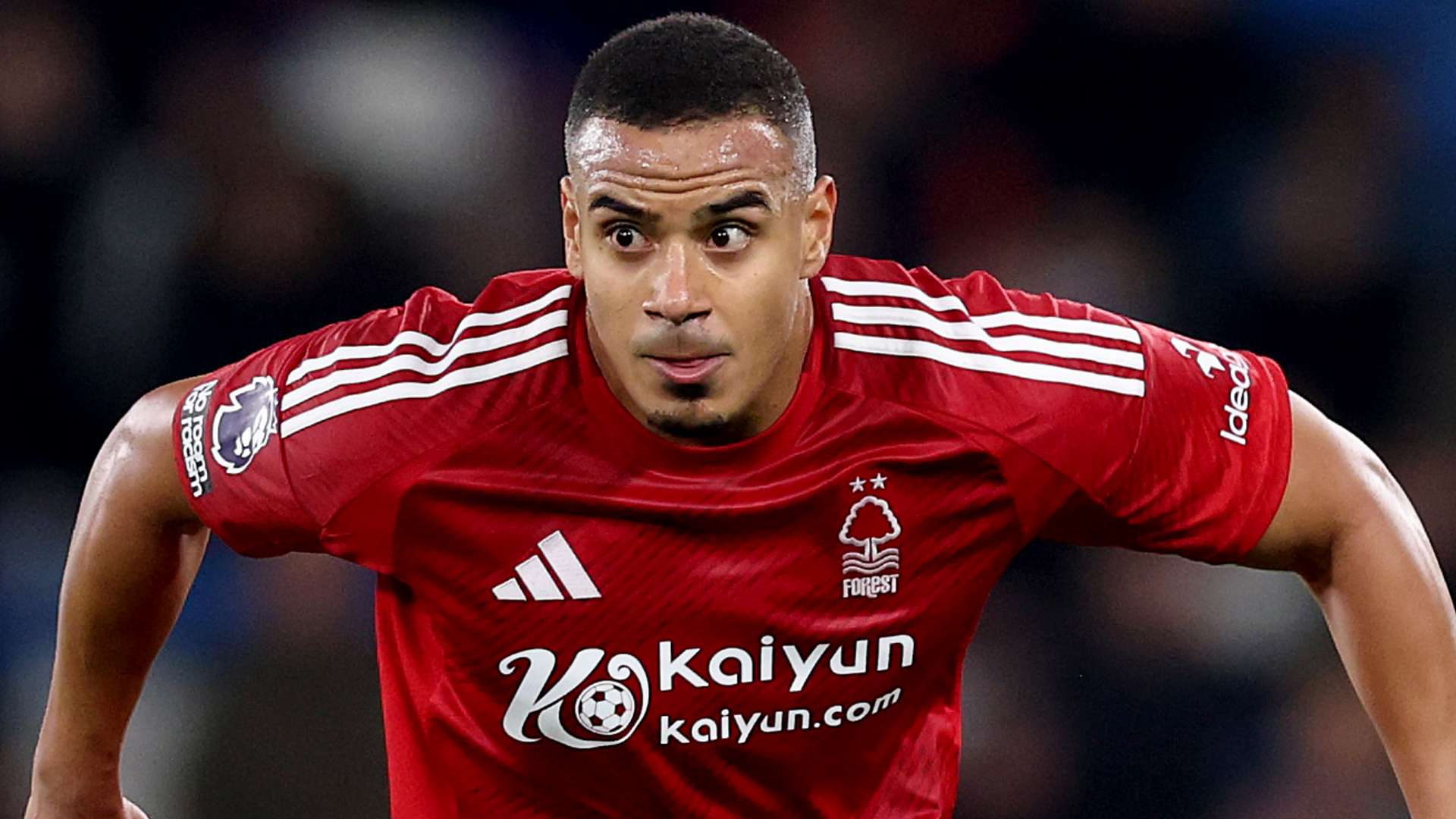 在顶级赛场 在顶级赛场